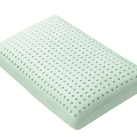 Blu Bio Aloe Queen Pillow